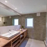 Apartment Schwaiger Scheffau am Wilden Kaiser