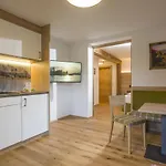 Apartment Schwaiger Scheffau am Wilden Kaiser